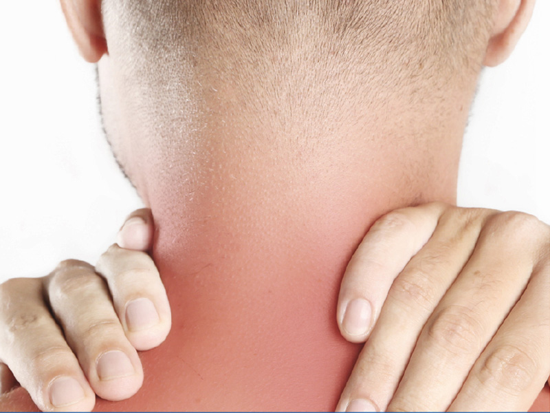Automated therapy system treating muscle groups.